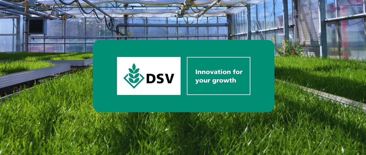 DSV EuroGrass prémium fűmagkeverékek | EUROGREEN – EUROGREEN-Tiszafa Kft.