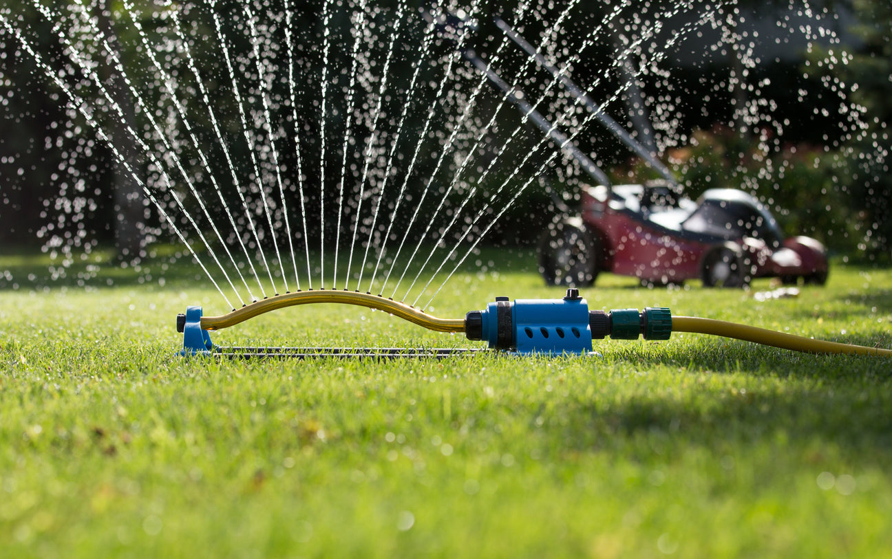 szárazságtűrő fűmag öntözése nyáron locsolóval