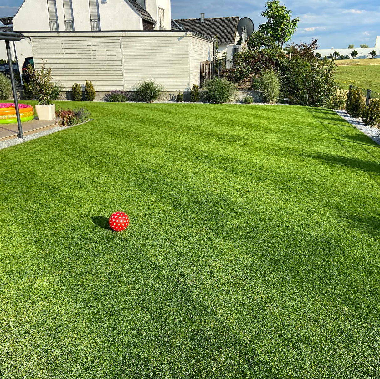 RASANA PREMIUM | Árnyéktűrő fűmagkeverék