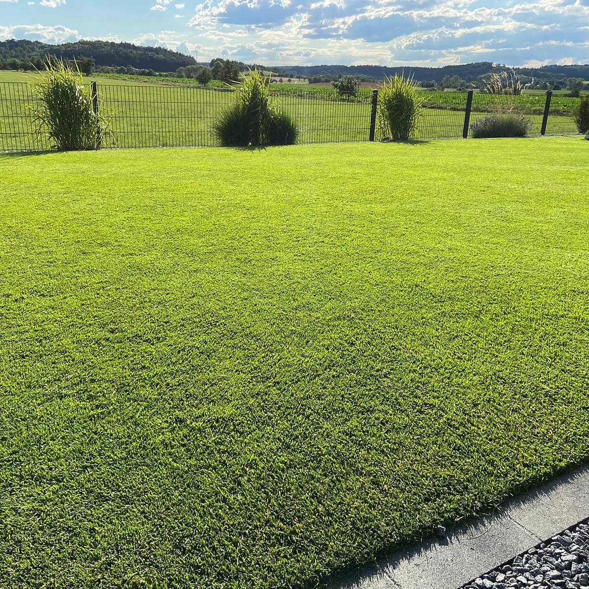 RASANA PREMIUM | Árnyéktűrő fűmagkeverék