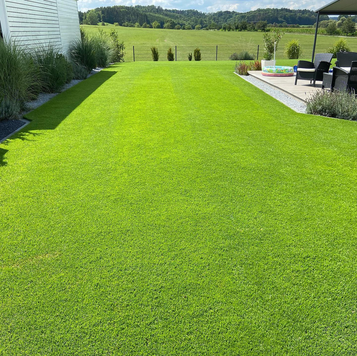 RASANA PREMIUM | Árnyéktűrő fűmagkeverék