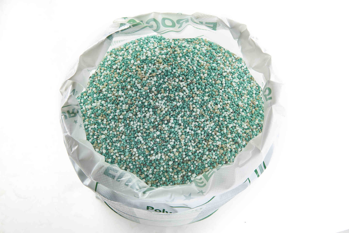 POLYSPORT | zöldítő tavaszi gyeptrágya