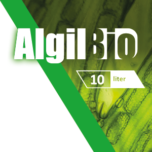 Algil-Bio | talajoltó baktérium készítmény