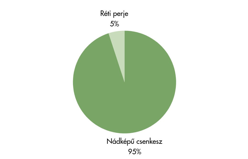 Resistente | Mediterrán szárazságtűrő fűmagkeverék